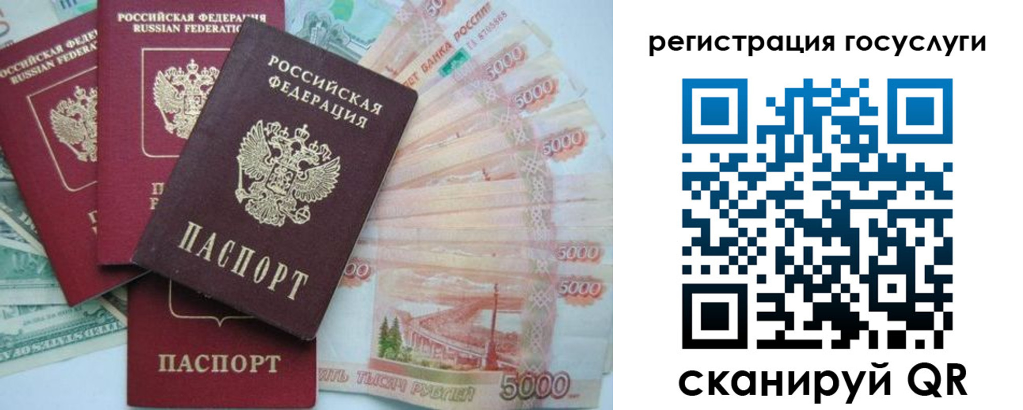 прописка иностранных граждан в Заполярном